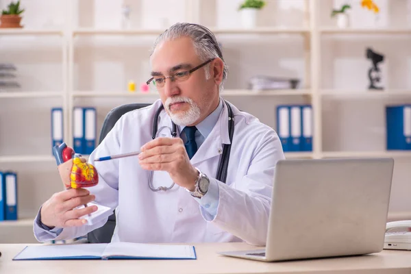 Aged male doctor cardiologist with heart model — Stock Photo, Image