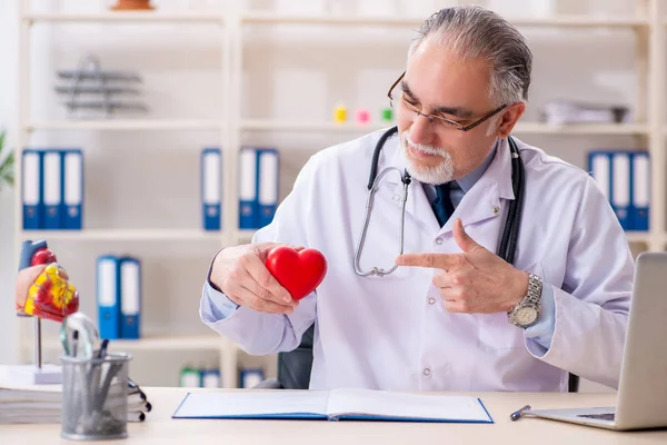Medico cardiologo maschio anziano con modello cardiaco — Foto Stock