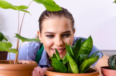 Evin içinde bitkileri olan genç bayan bahçıvan. 