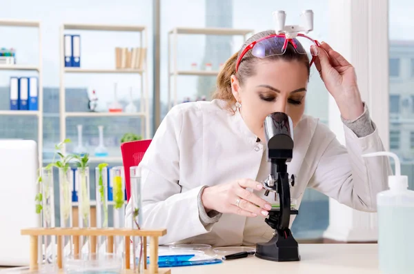 Química cientista biotecnológica do sexo feminino que trabalha no laboratório — Fotografia de Stock