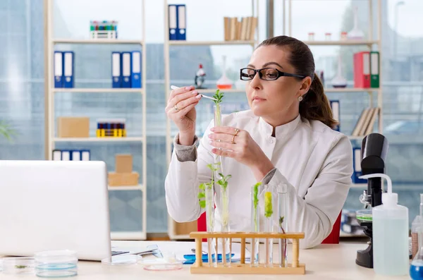 Laboratuarda çalışan kadın biyoteknoloji bilim adamı kimyacı — Stok fotoğraf