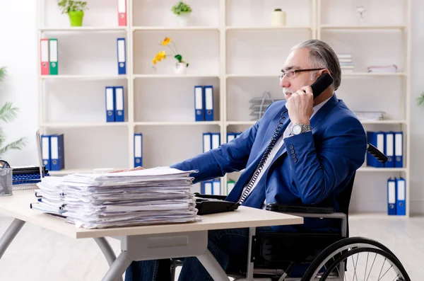 Älterer Mitarbeiter im Rollstuhl arbeitet im Büro — Stockfoto