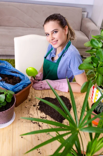 Jeune jardinière avec des plantes à l'intérieur — Photo