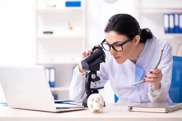 Jonge vrouwelijke archeoloog werkzaam in het lab — Stockfoto