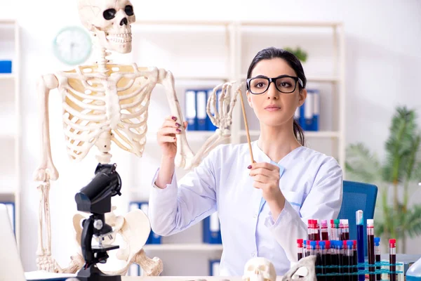 Giovane archeologa donna che lavora in laboratorio — Foto Stock