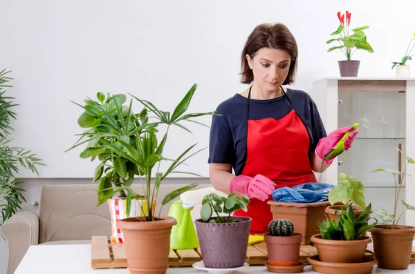 Ženské zahradník s rostlinami doma — Stock fotografie