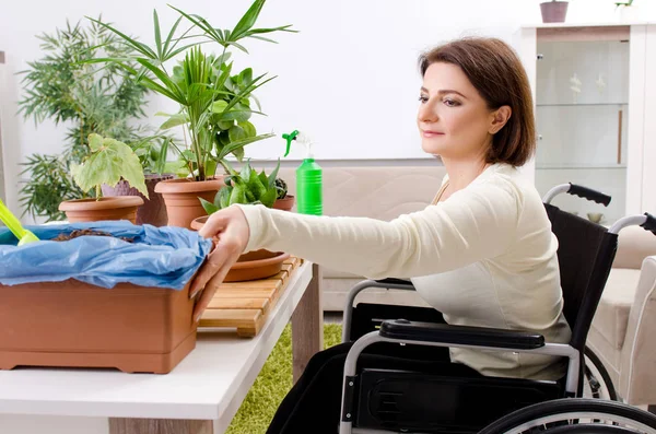 Жінка в інвалідному візку вирощує кімнатні рослини — стокове фото