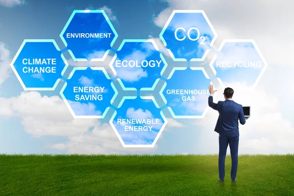 Businessman in ecology and environment concept — Stock Photo, Image