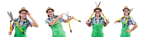 Funny gardener with shears isolated on white — Stock Photo, Image