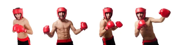 拳击手在红色头盔和手套查出在白色 — 图库照片