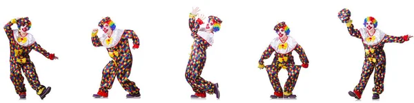 Funny male clown isolated on white — Stock Photo, Image