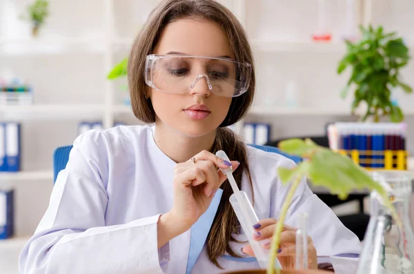 Jeune belle chimiste en biotechnologie travaillant dans le laboratoire — Photo