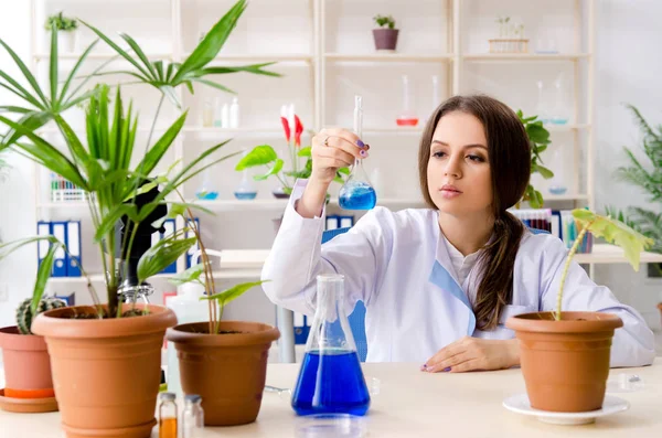 Jovem e bela biotecnologia química trabalhando no laboratório — Fotografia de Stock
