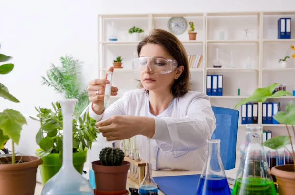 Mulher velha biotecnologia química que trabalha no laboratório — Fotografia de Stock