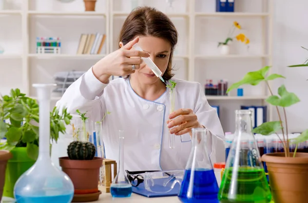 Anciana química biotecnológica que trabaja en el laboratorio — Foto de Stock