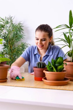 Evin içinde bitkileri olan genç bayan bahçıvan. 