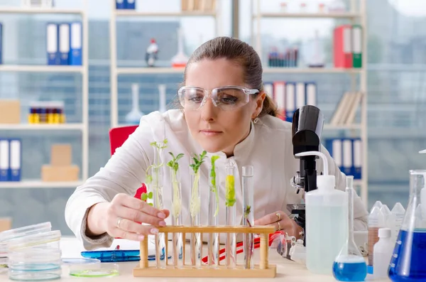 Vrouwelijke biotechnologie wetenschapper chemicus werken in het lab — Stockfoto