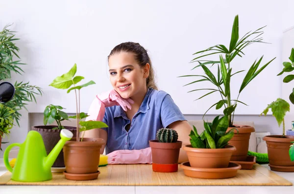 室内种植植物的年轻女园艺师 — 图库照片