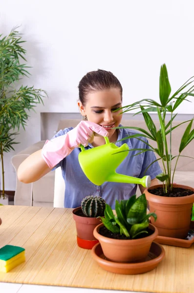 Jovem jardineiro feminino com plantas dentro de casa — Fotografia de Stock