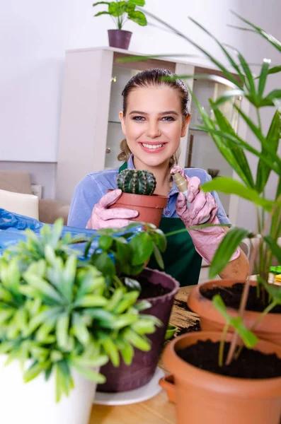 Jonge vrouwelijke tuinman met planten binnen — Stockfoto