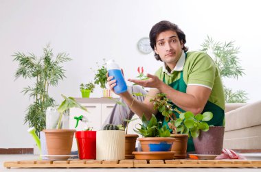 Evin içinde bitkileri olan genç bir erkek bahçıvan. 