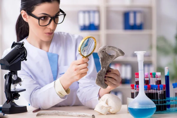 Young female archaeologist working in the lab — Stock Photo, Image