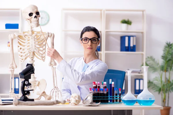 Young female archaeologist working in the lab — Stock Photo, Image