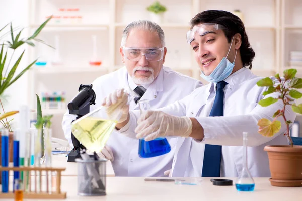 Dos químicos trabajando en el laboratorio —  Fotos de Stock