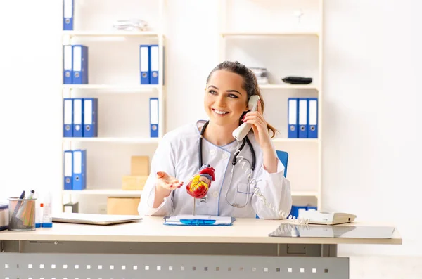 Jovem médico cardiologista sentado no hospital — Fotografia de Stock