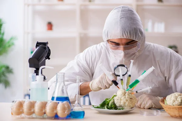 Científico trabajando en laboratorio sobre frutas y verduras transgénicas —  Fotos de Stock