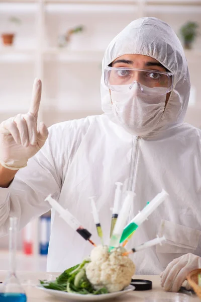 Científico trabajando en laboratorio sobre frutas y verduras transgénicas —  Fotos de Stock