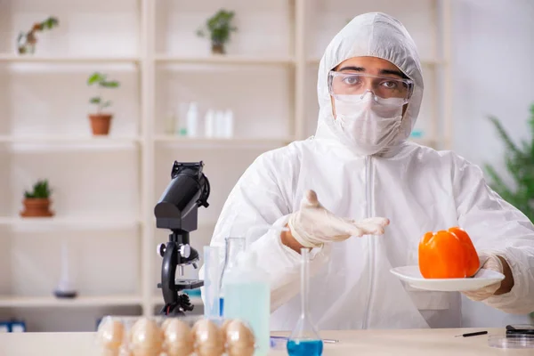 Wetenschapper in lab over GGO-groenten en -fruit — Stockfoto