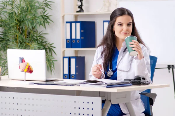 Female doctor working in the clinic — Stock Photo, Image