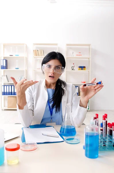 Química femenina trabajando en el laboratorio —  Fotos de Stock