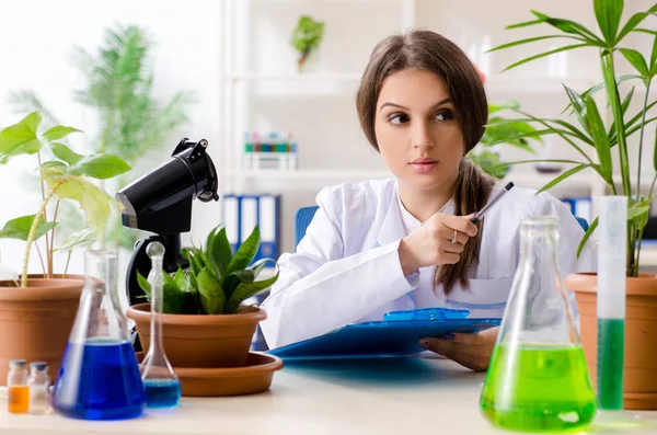 Joven química biotecnológica hermosa trabajando en el laboratorio —  Fotos de Stock