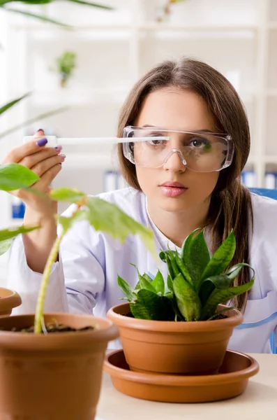 Mladý krásný biotechnologický chemik pracující v laboratoři — Stock fotografie