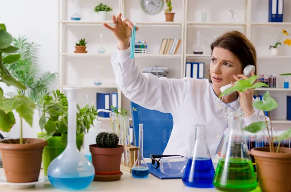 Vecchia chimica biotecnologica femminile che lavora in laboratorio — Foto Stock