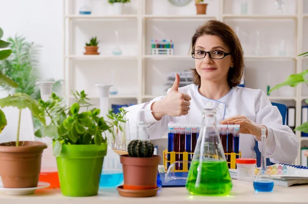 Vecchia chimica biotecnologica femminile che lavora in laboratorio — Foto Stock