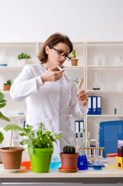 Oude vrouwelijke biotechnologie chemicus werkzaam in het lab — Stockfoto