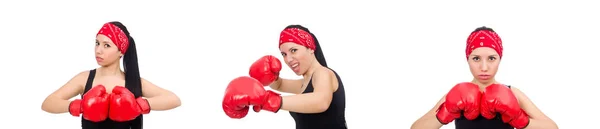 Mujer boxeadora aislada en el blanco — Foto de Stock