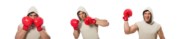 Conceito de boxe com jovem desportista — Fotografia de Stock