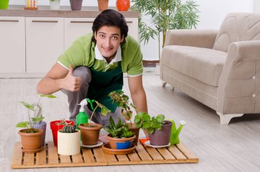 Evin içinde bitkileri olan genç bir erkek bahçıvan. 