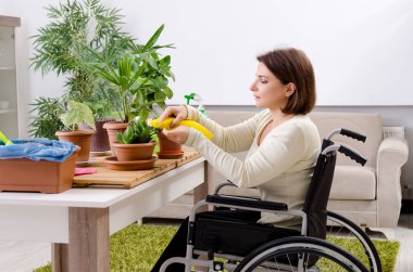 Kadın houseplants yetiştirilmesi tekerlekli sandalyede  