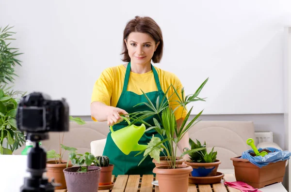 Θηλυκό blogger εξηγώντας houseplants καλλιέργεια — Φωτογραφία Αρχείου