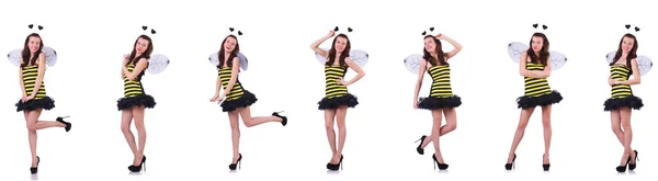 Giovane donna in costume da ape isolato su bianco — Foto Stock