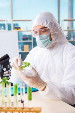 Laboratuarda çalışan erkek biyoteknoloji bilim adamı kimyacı