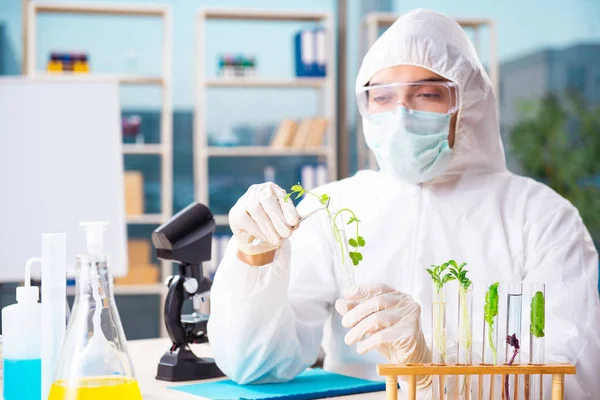 Hombre biotecnológico científico químico que trabaja en el laboratorio —  Fotos de Stock