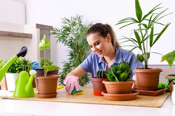 屋内に植物を持つ若い女性の庭師 — ストック写真