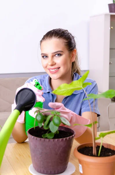 Jonge vrouwelijke tuinman met planten binnen — Stockfoto