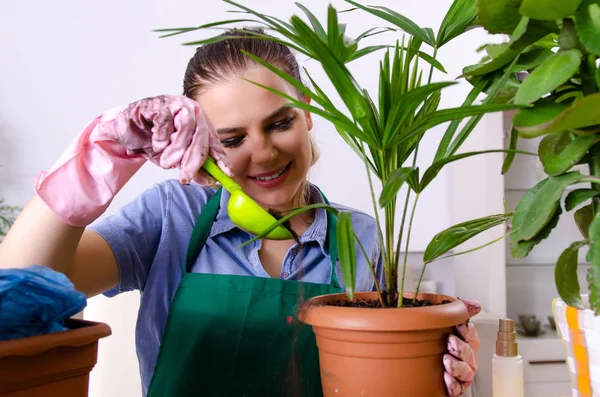 Jonge vrouwelijke tuinman met planten binnen — Stockfoto